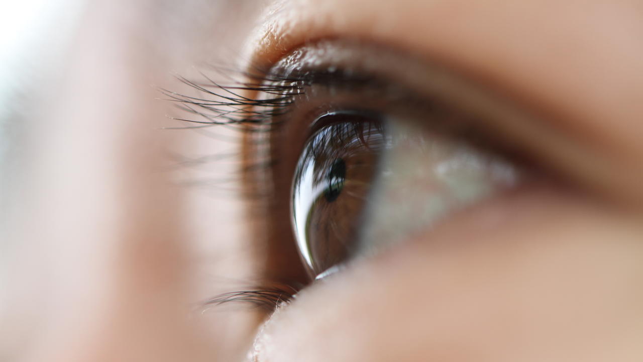 Macro shot of human eye.