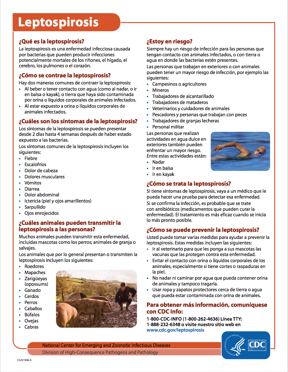 LEPTOSPIROSIS PAGE